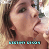 destiny-dixon-banging-beauties